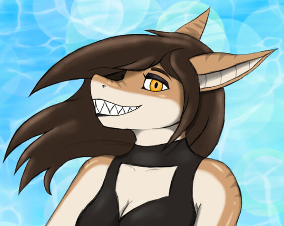 Sharky Barky Sharky Barky